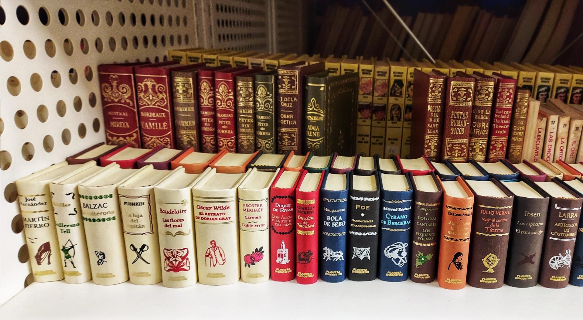 Día do Libro